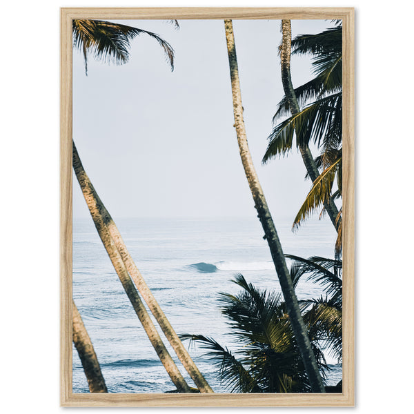 Bali - Shutter and Frame