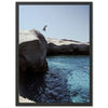 Escapade - Shutter and Frame