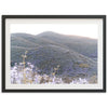 Lilac Bloom - Shutter and Frame