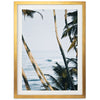 Bali - Shutter and Frame