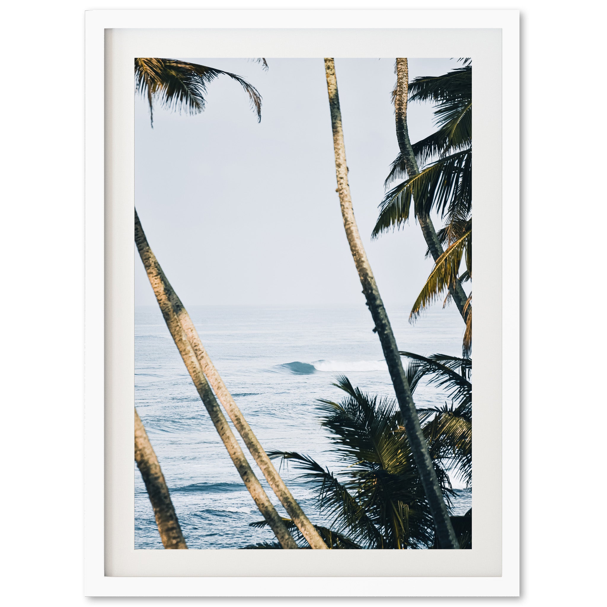 Bali - Shutter and Frame