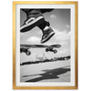 Ollie - Shutter and Frame