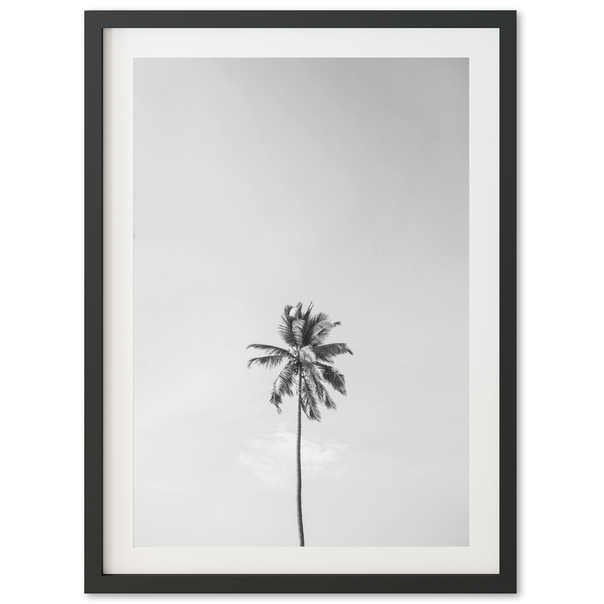 One Palm - Shutter and Frame