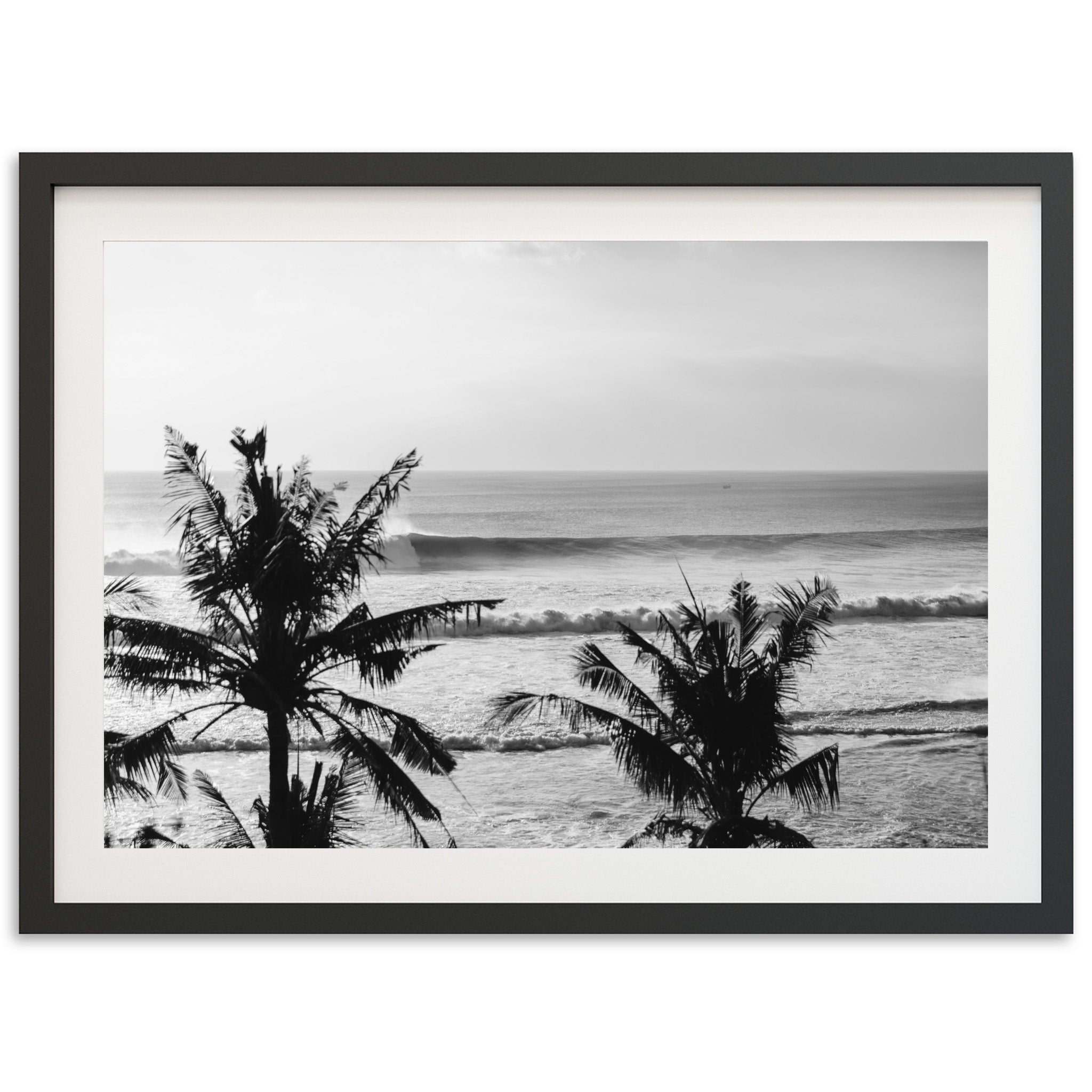 Indo Swell II - Shutter and Frame
