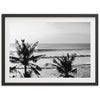 Indo Swell II - Shutter and Frame