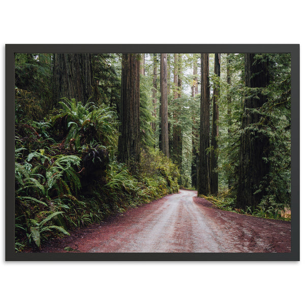 Redwood Road - Shutter and Frame