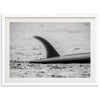 Single Fin - Shutter and Frame