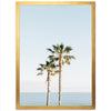 Ocean Palms - Shutter and Frame