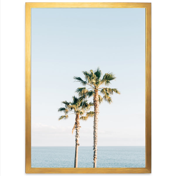 Ocean Palms - Shutter and Frame