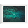 Through the Reef - Shutter and Frame