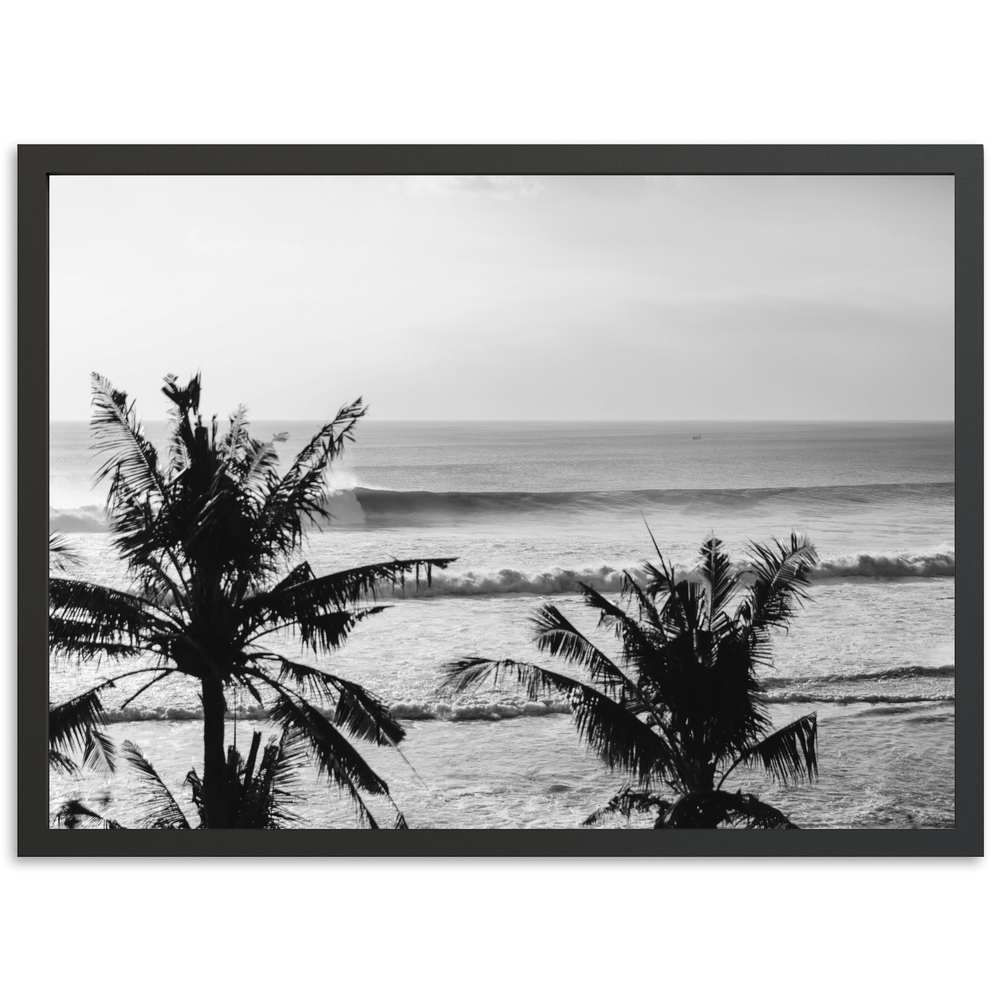 Indo Swell II - Shutter and Frame