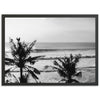Indo Swell II - Shutter and Frame