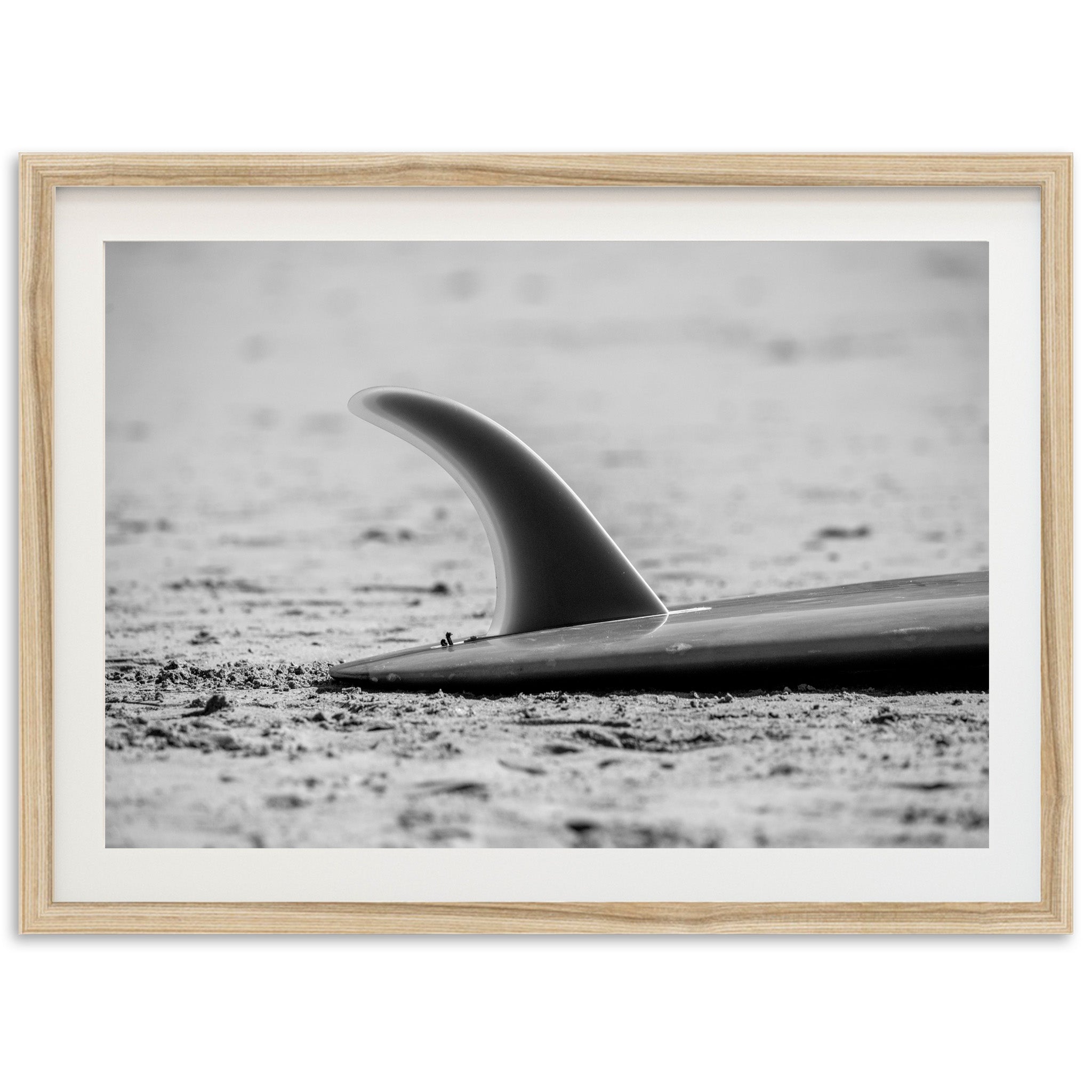 Single Fin - Shutter and Frame