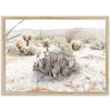 Desert Roses - Shutter and Frame