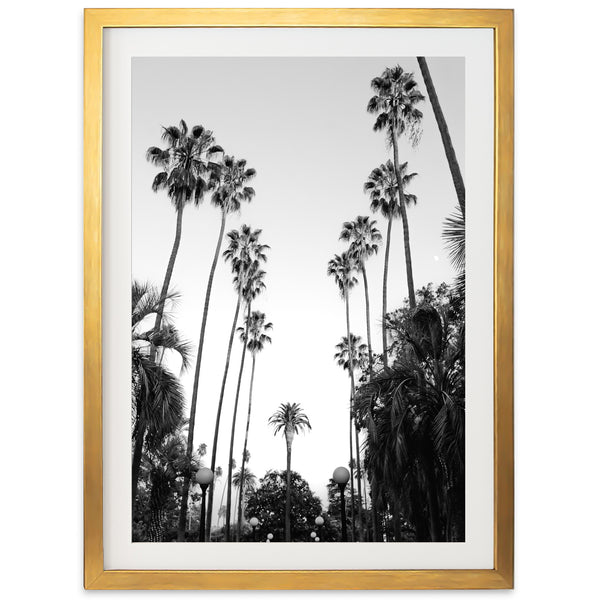 Beverly Hills II - Shutter and Frame