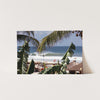 Zicatela - Shutter and Frame
