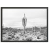 Sonora II - Shutter and Frame