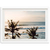 Indo Swell - Shutter and Frame