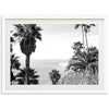 Swamis II - Shutter and Frame