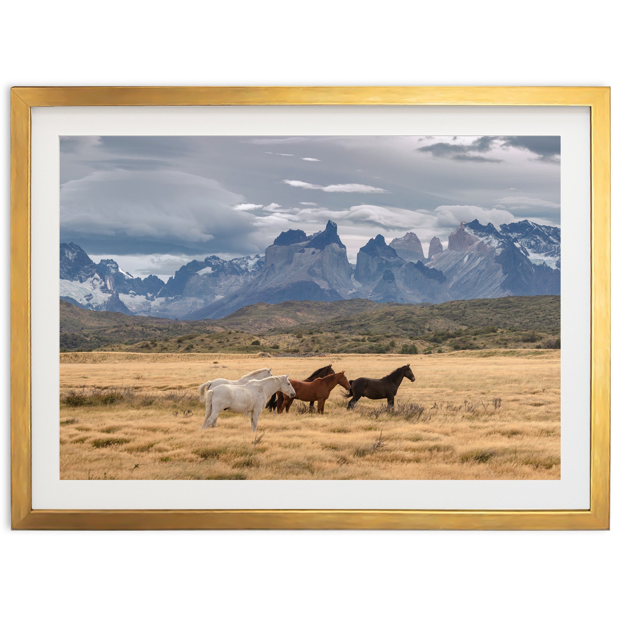 Wild Patagonia - Shutter and Frame