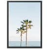 Ocean Palms - Shutter and Frame