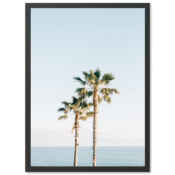 Ocean Palms - Shutter and Frame