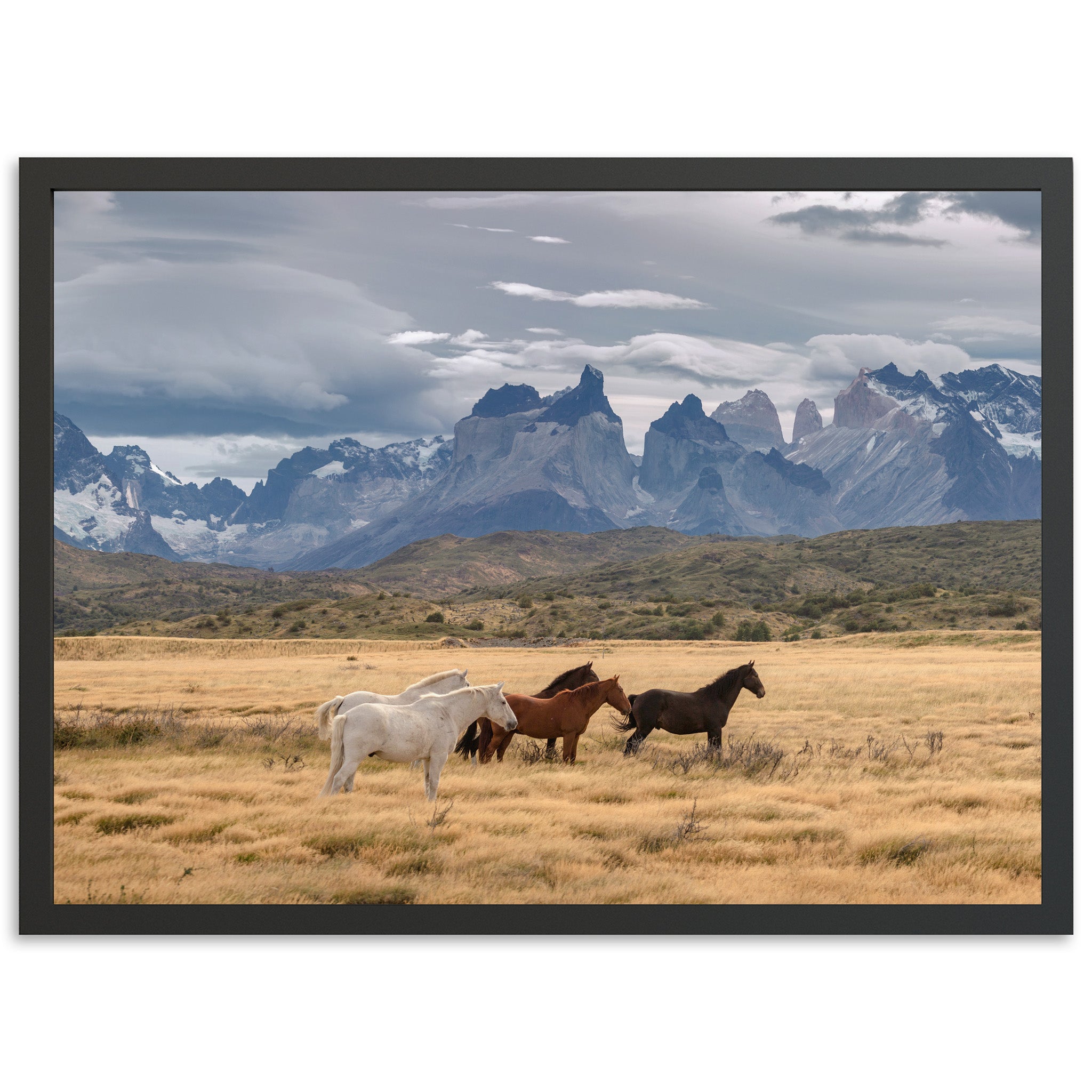 Wild Patagonia - Shutter and Frame