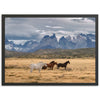 Wild Patagonia - Shutter and Frame
