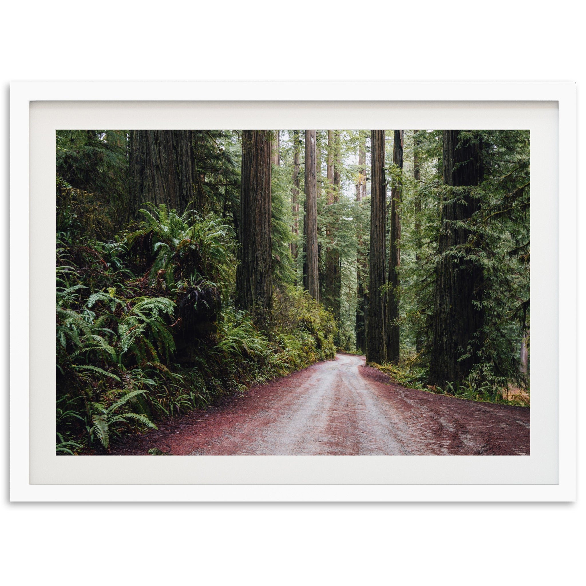 Redwood Road - Shutter and Frame