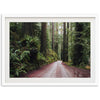 Redwood Road - Shutter and Frame
