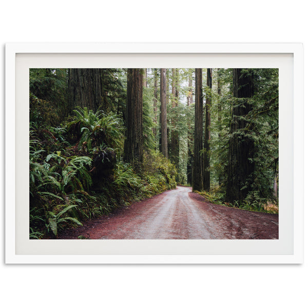 Redwood Road - Shutter and Frame