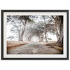 Tunnel Vision - Shutter and Frame