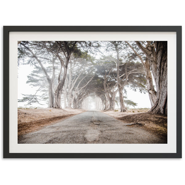 Tunnel Vision - Shutter and Frame