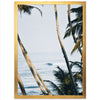 Bali - Shutter and Frame