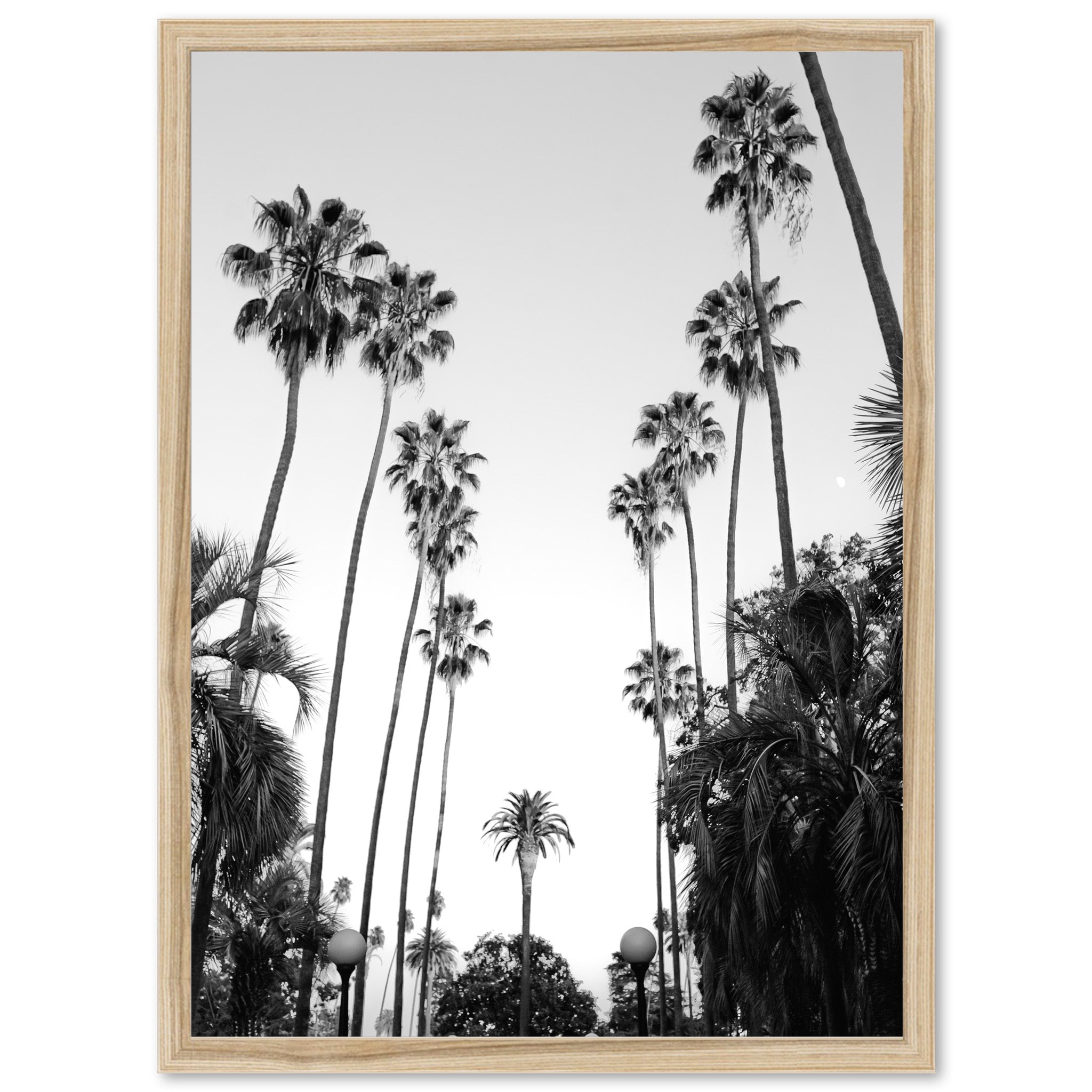 Beverly Hills II - Shutter and Frame