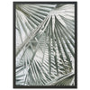 Palm Fan - Shutter and Frame