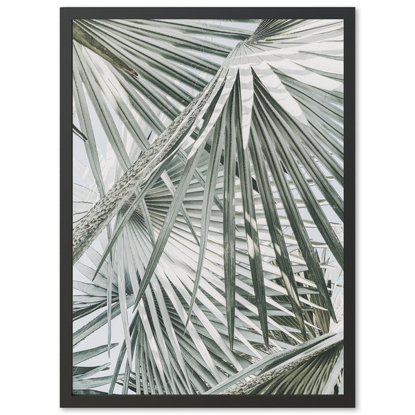 Palm Fan - Shutter and Frame