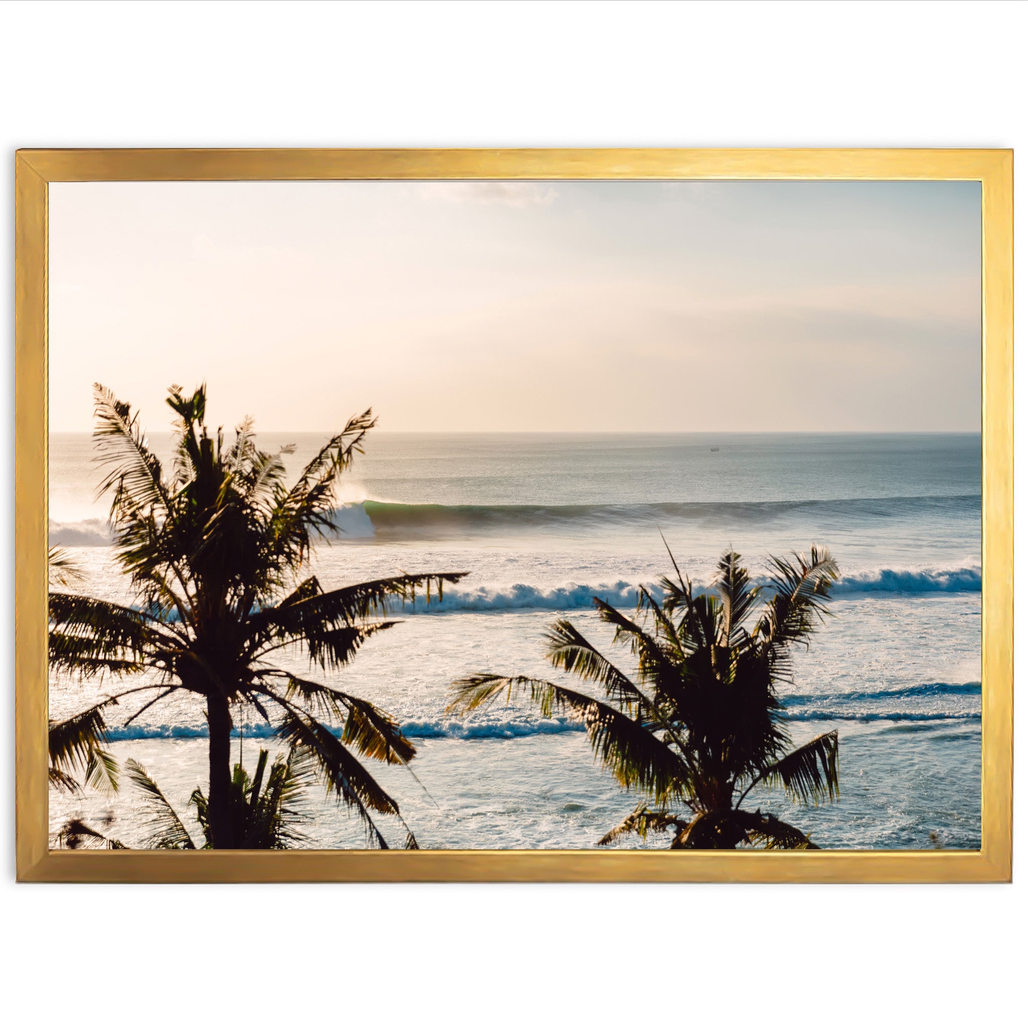 Indo Swell - Shutter and Frame