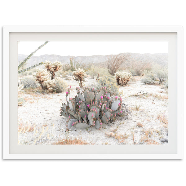 Desert Roses - Shutter and Frame