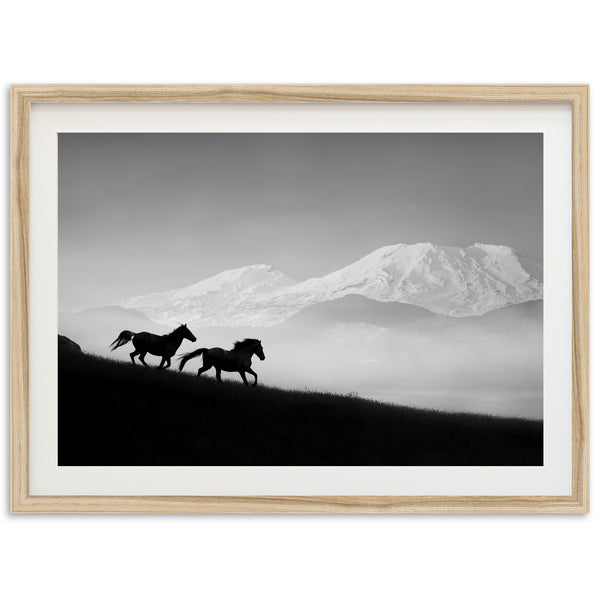 Mountain Spirit - Shutter and Frame