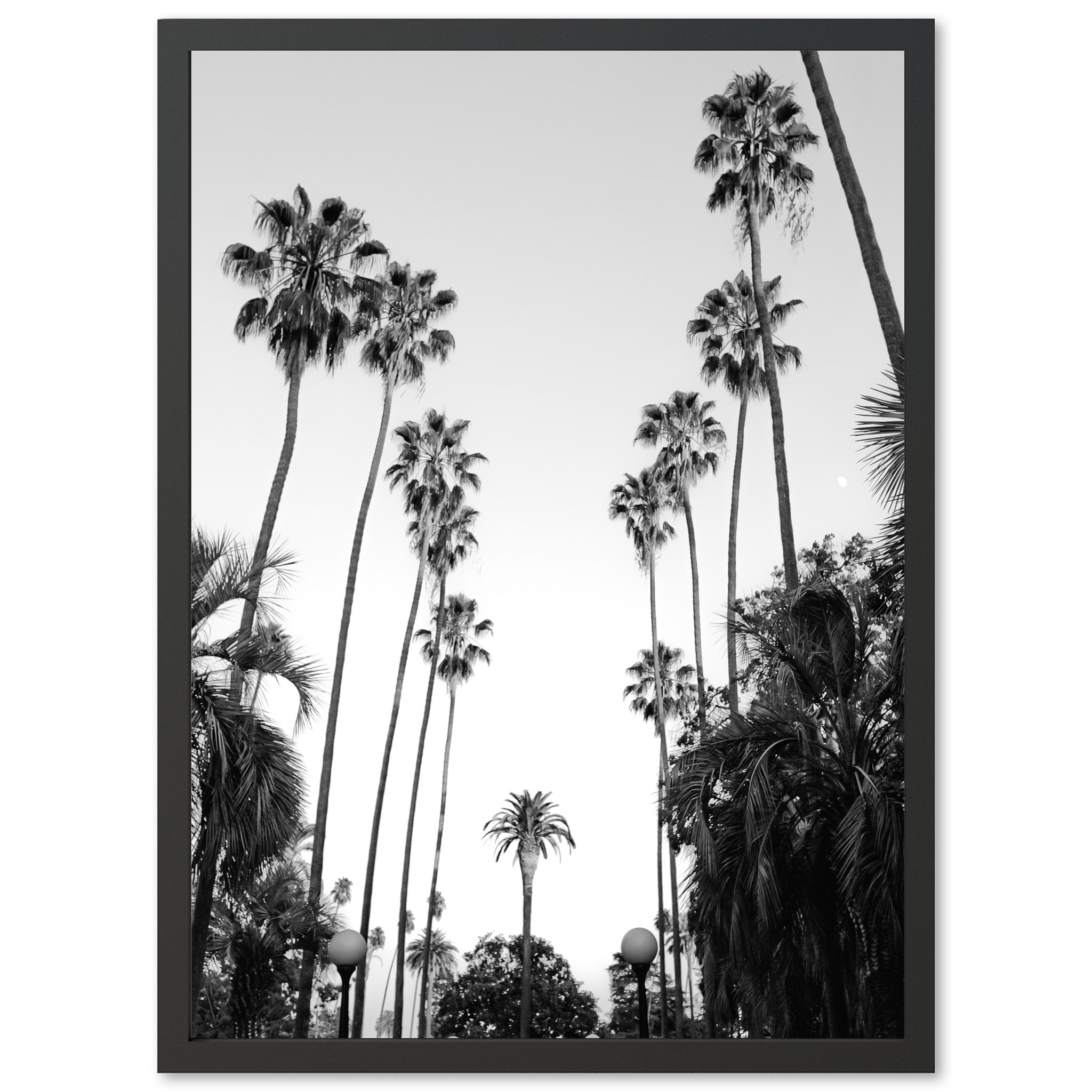 Beverly Hills II - Shutter and Frame