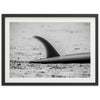 Single Fin - Shutter and Frame
