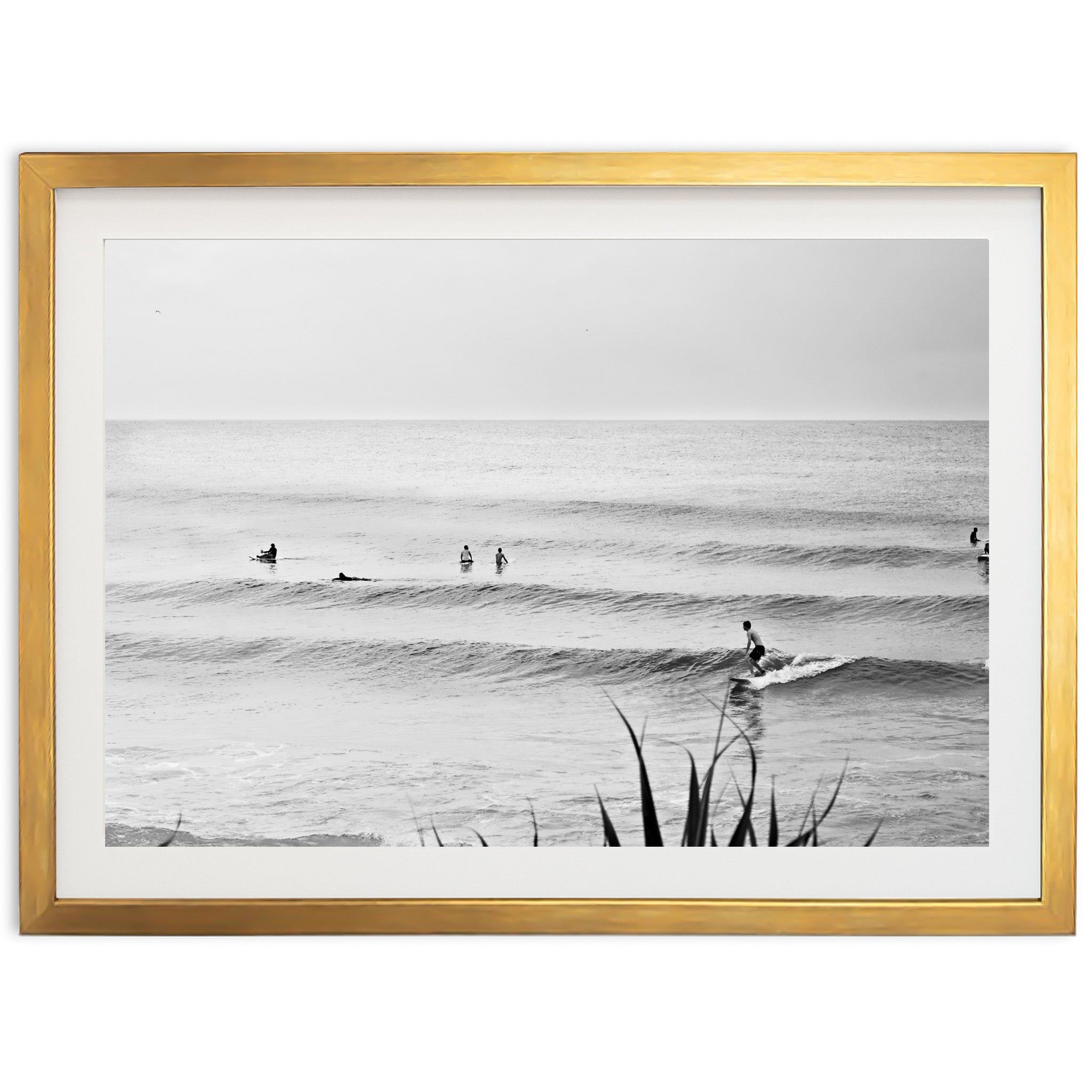 Endless Summer - Shutter and Frame