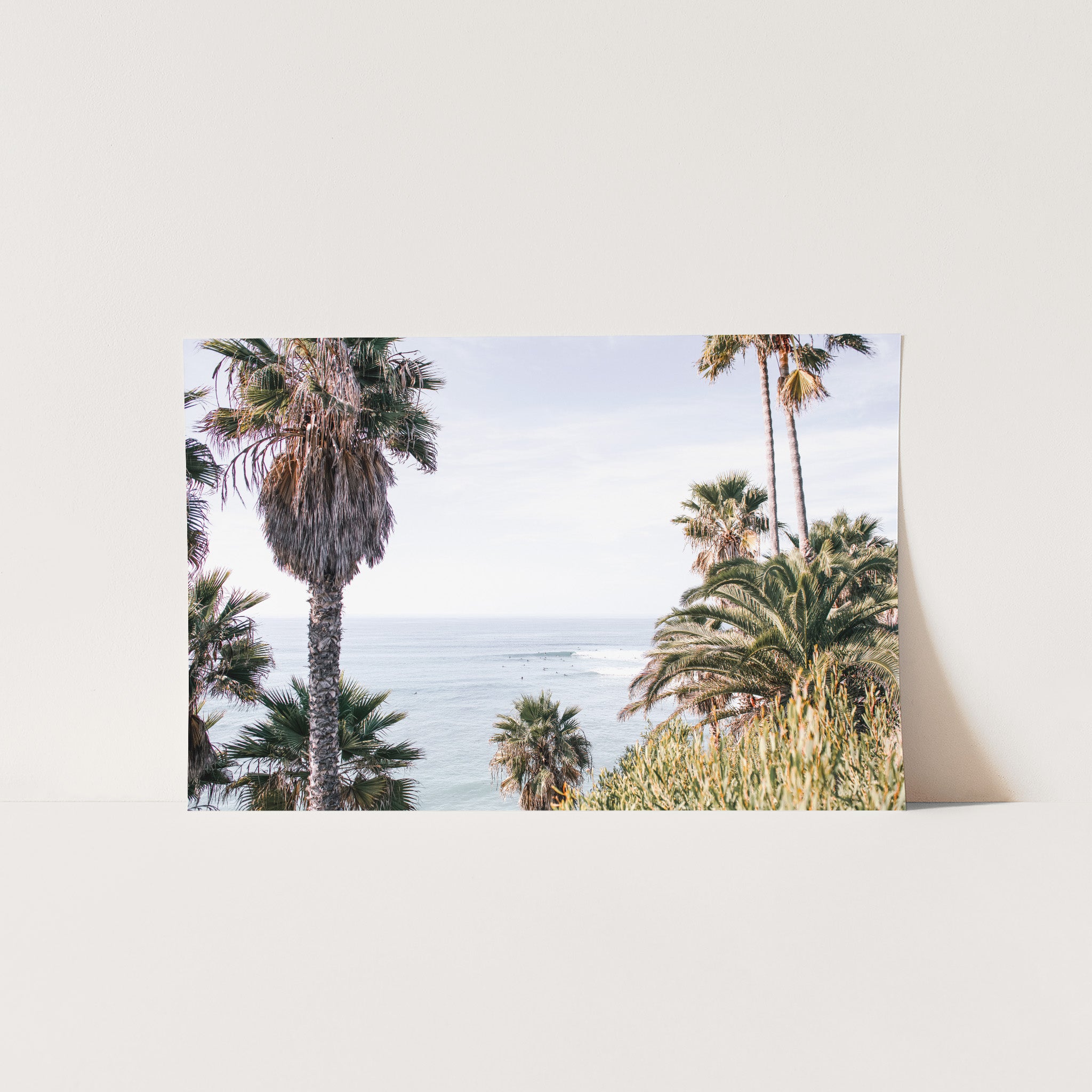 Swamis - Shutter and Frame