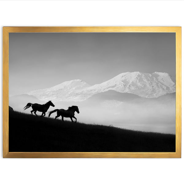 Mountain Spirit - Shutter and Frame
