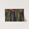 King Palm - Shutter and Frame