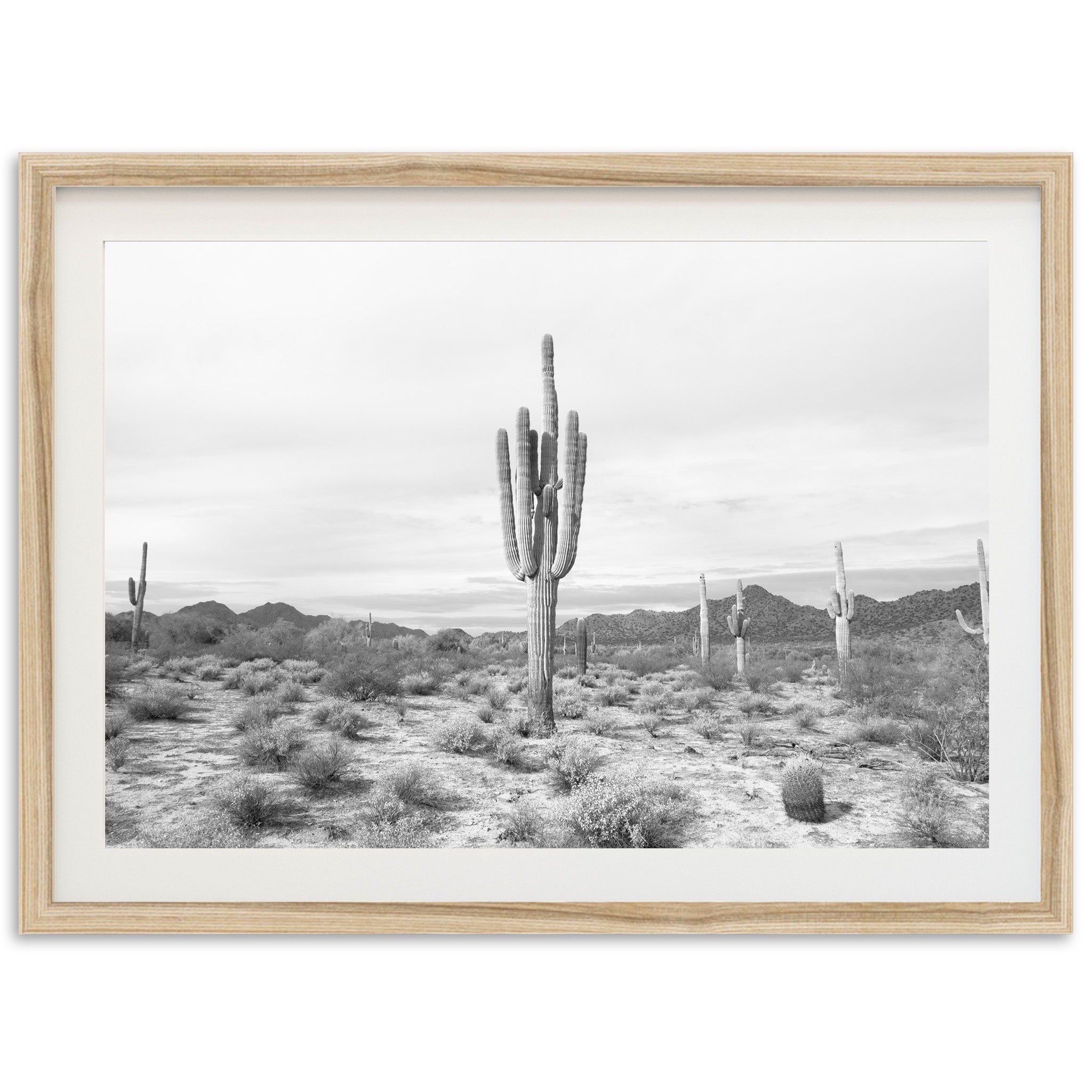 Sonora II - Shutter and Frame