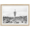 Sonora II - Shutter and Frame