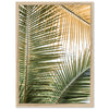 Shades of Green - Shutter and Frame