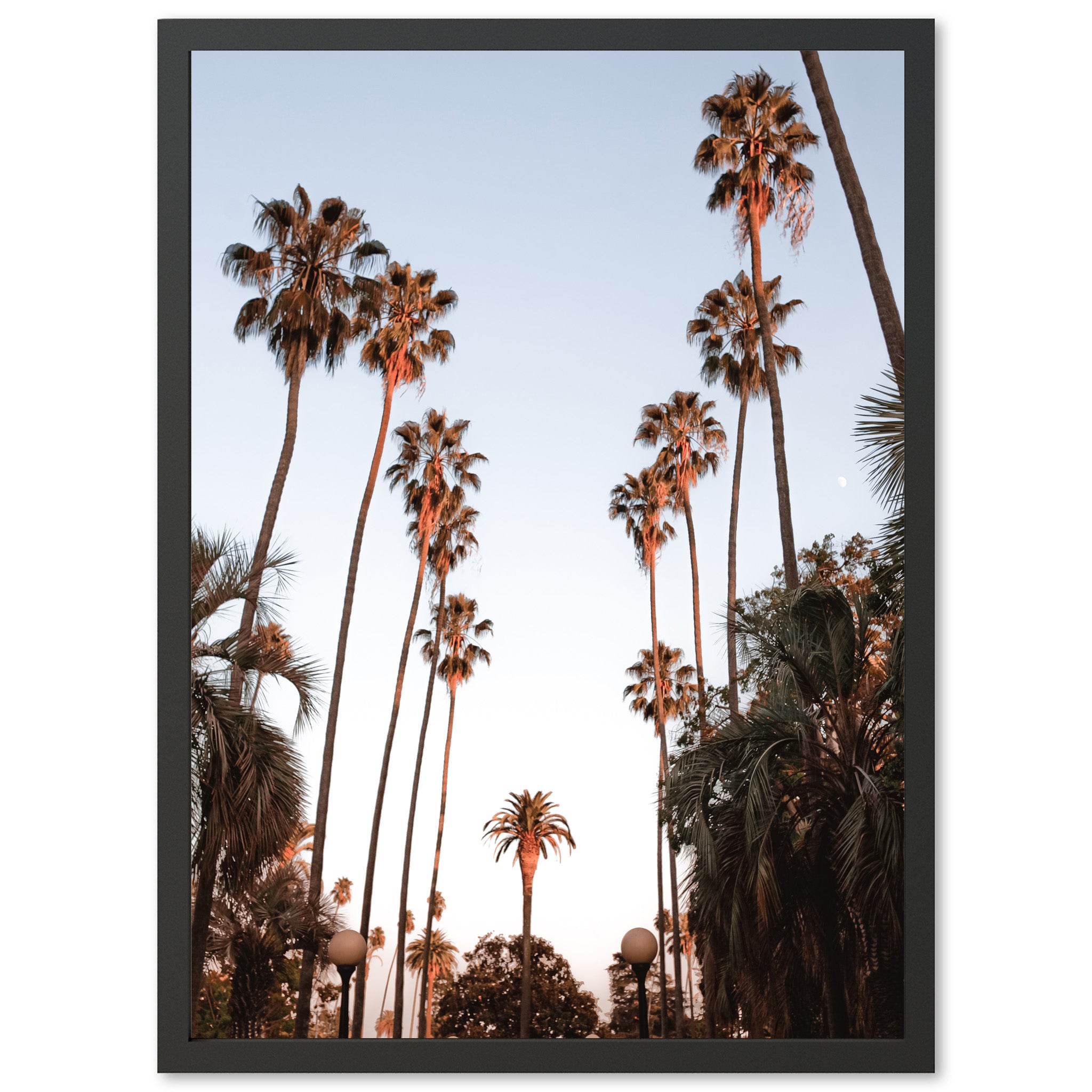 Beverly Hills - Shutter and Frame